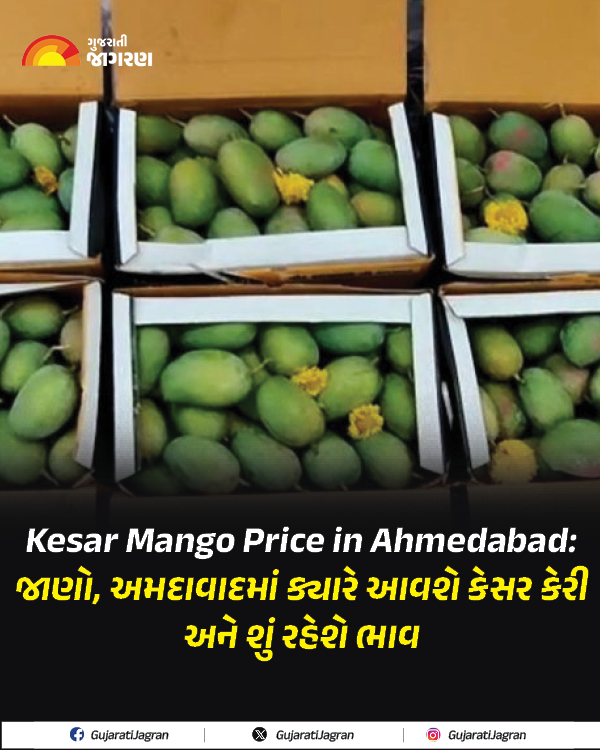 gujaratijagran's tweet image. Kesar Mango Price in Ahmedabad: જાણો, અમદાવાદમાં ક્યારે આવશે કેસર કેરી અને શું રહેશે ભાવ

gujaratijagran.com/gujarat/ahmeda…

#Mangoprice #junagadhnews #amrelinews #amreli #kesarkeri #kesar #kesarmango #Gujarat #GujaratiJagran #ahmedabad