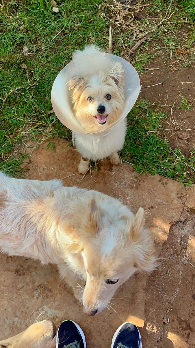 Happy Wednesday! 🐶🐶