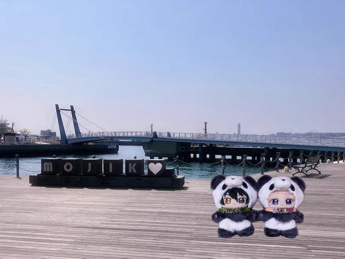 ぬいちゃん不在の為ジェネリックぬいちゃん失礼致します 
