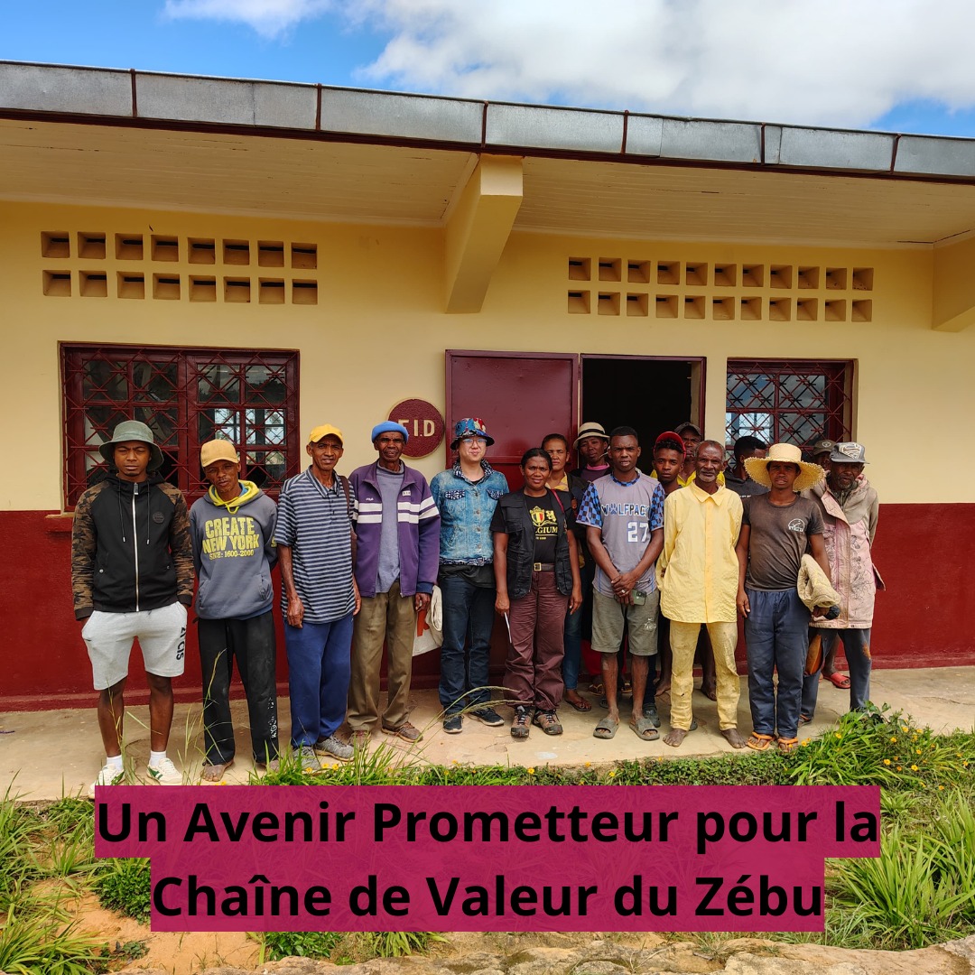 LMP_Madagascar's tweet photo. Le PDSEM vise des solutions durables 💪 : renforcer la filière, améliorer les conditions de vie des éleveurs et garantir une viande de qualité 🍽️
Ensemble, construisons l’avenir de l’élevage malgache 

🇲🇬 #DéveloppementDurable #Zébu https://t.co/spbGQnXno6