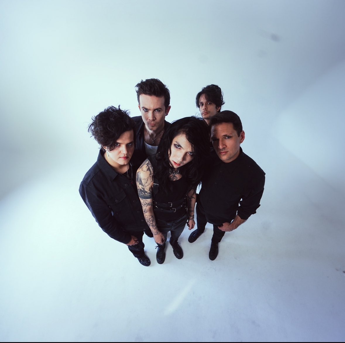 Black Sheep 🐑 and Never Go Back is out now