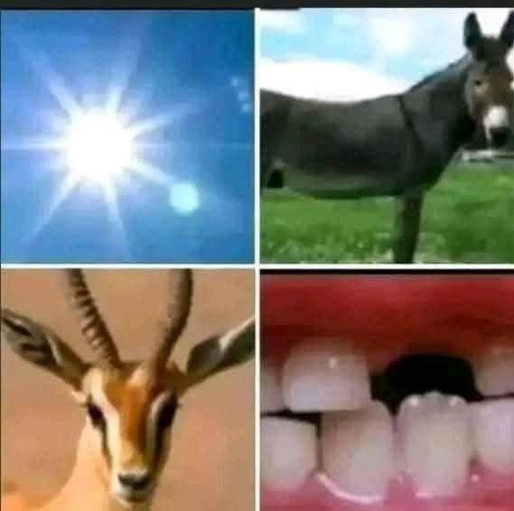 قليل من يفهمها😂😜😂😜😂😜