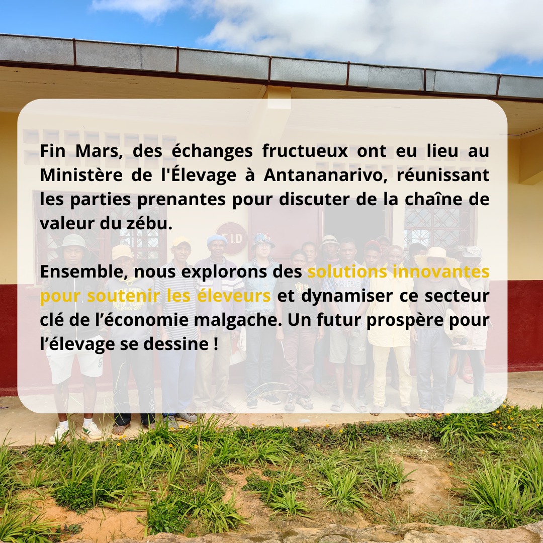 LMP_Madagascar's tweet photo. Le PDSEM vise des solutions durables 💪 : renforcer la filière, améliorer les conditions de vie des éleveurs et garantir une viande de qualité 🍽️
Ensemble, construisons l’avenir de l’élevage malgache 

🇲🇬 #DéveloppementDurable #Zébu https://t.co/spbGQnXno6