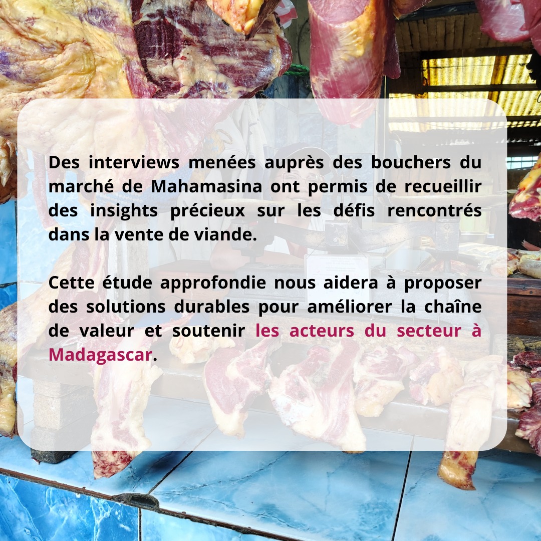 LMP_Madagascar's tweet photo. Le PDSEM vise des solutions durables 💪 : renforcer la filière, améliorer les conditions de vie des éleveurs et garantir une viande de qualité 🍽️
Ensemble, construisons l’avenir de l’élevage malgache 

🇲🇬 #DéveloppementDurable #Zébu https://t.co/spbGQnXno6