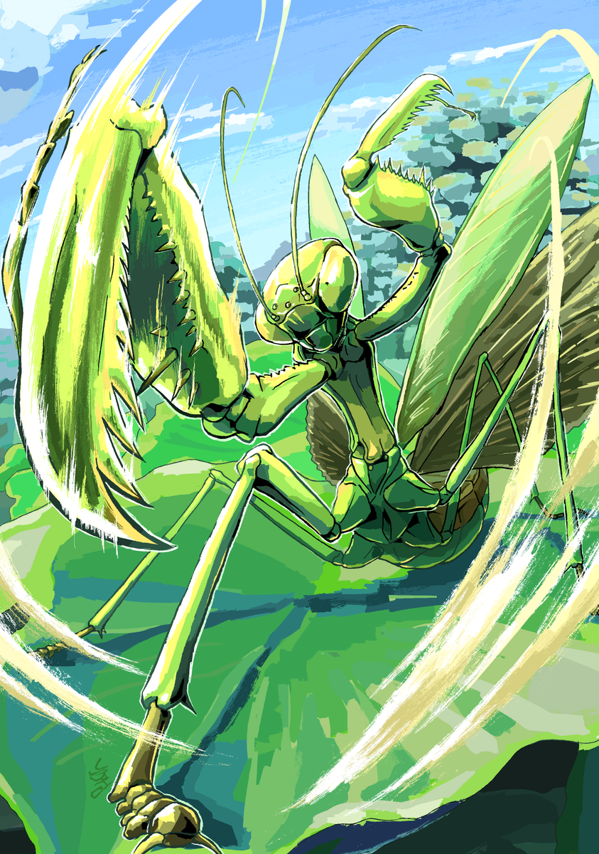 強襲　ーASSAULTー

オオカマキリ