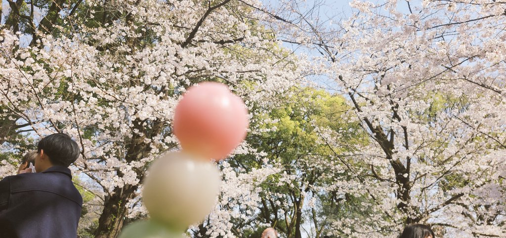 ao_299's tweet photo. 生存報告 https://t.co/LJeN5ndnsQ