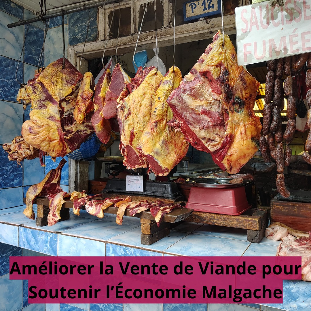 LMP_Madagascar's tweet photo. 🌵 À Ambovombe (Androy), les éleveurs innovent en utilisant le cactus pour nourrir leurs bovins face aux conditions climatiques difficiles. 💡 

#Résilience #InnovationRurale https://t.co/4FmzrigawR