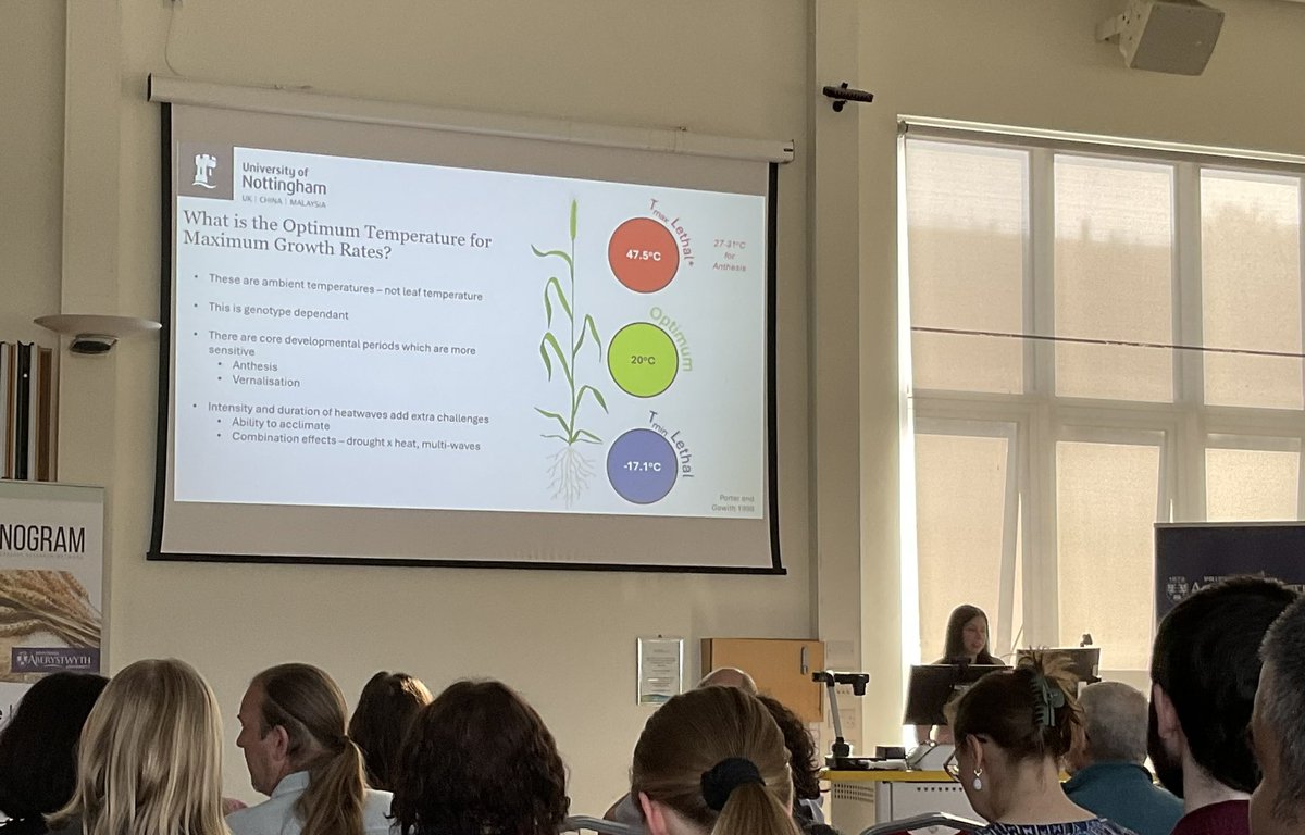 Surbhi Grewal (@surbhig6) on Twitter photo Turning up the heat 🌡 assessing photosynthetic acclimation to heat from wheat leaf to spike 🌾 Lorna McAusland from <a href="/UoNBiosciences/">UoNBiosciences</a> <a href="/BBSRC/">Biotechnology and Biological Sciences Research</a> Discovery Fellow gave a fantastic opening talk of day 2 of #Monogram25
Thank you to <a href="/AABiologists/">AAB @aabiologists.bsky.social</a> for funding her talk. Turning up the heat 🌡 assessing photosynthetic acclimation to heat from wheat leaf to spike 🌾 Lorna McAusland from <a href="/UoNBiosciences/">UoNBiosciences</a> <a href="/BBSRC/">Biotechnology and Biological Sciences Research</a> Discovery Fellow gave a fantastic opening talk of day 2 of #Monogram25
Thank you to <a href="/AABiologists/">AAB @aabiologists.bsky.social</a> for funding her talk.