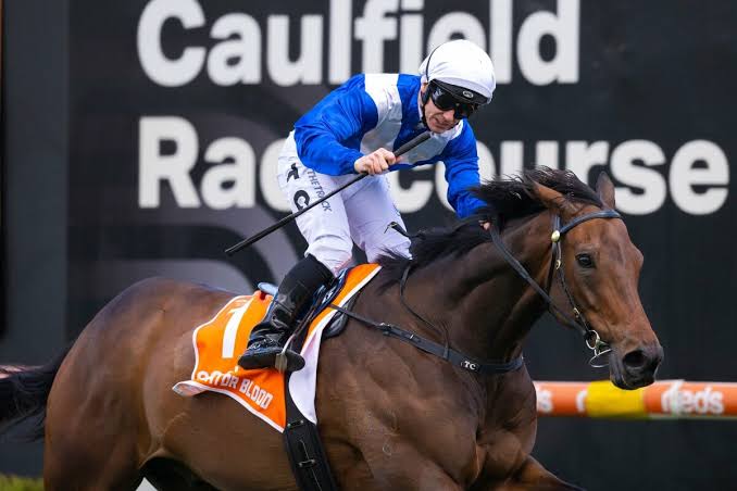 clarkyhk's tweet photo. Happy retirement champ. 🐊🩸🫶🏻 https://t.co/yklCQJU0VG