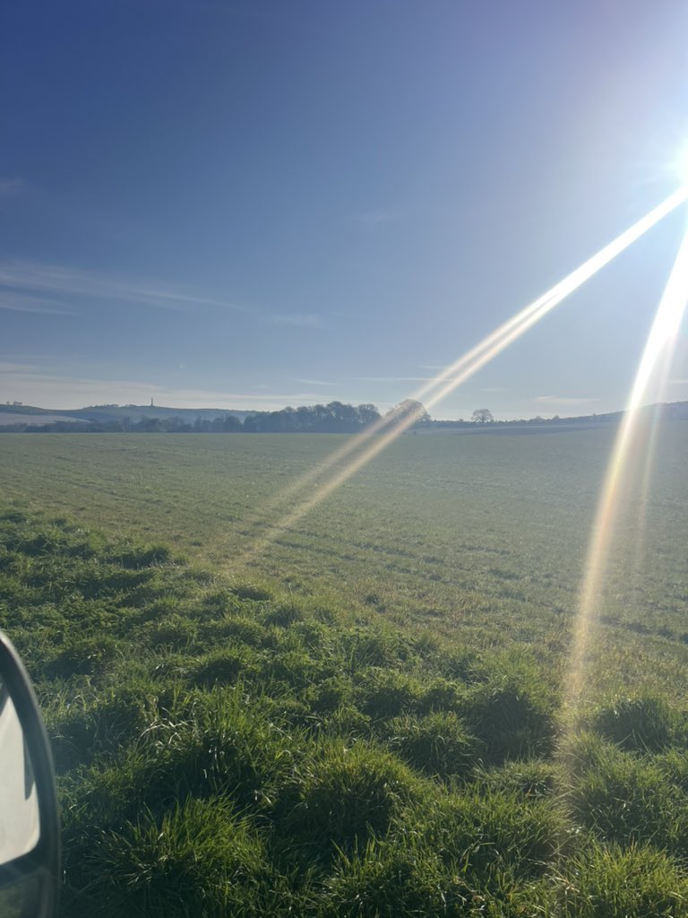 It’s a glorious morning in rural Wiltshire