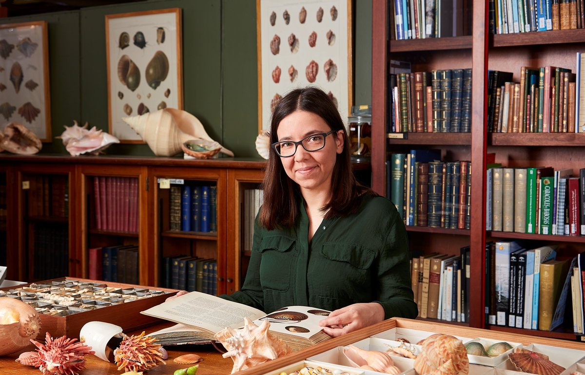 conchsoc's tweet photo. Delighted that our AGM this Saturday @NHM_London will feature a special talk on "Interesting Shells" by ace curator Andreia Salvador @NHM_shells. Her 2022 book of the same name shows there truly is a 🐚out there for everyone! Meeting details at: https://t.co/DDEttPXEkf https://t.co/qZh4i2WbRo