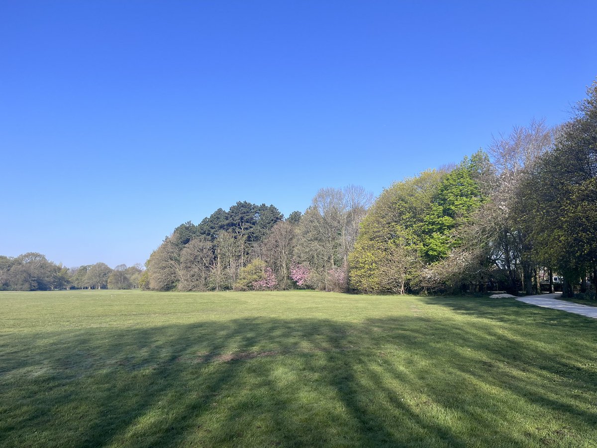 Amnah Iqbal tweet media