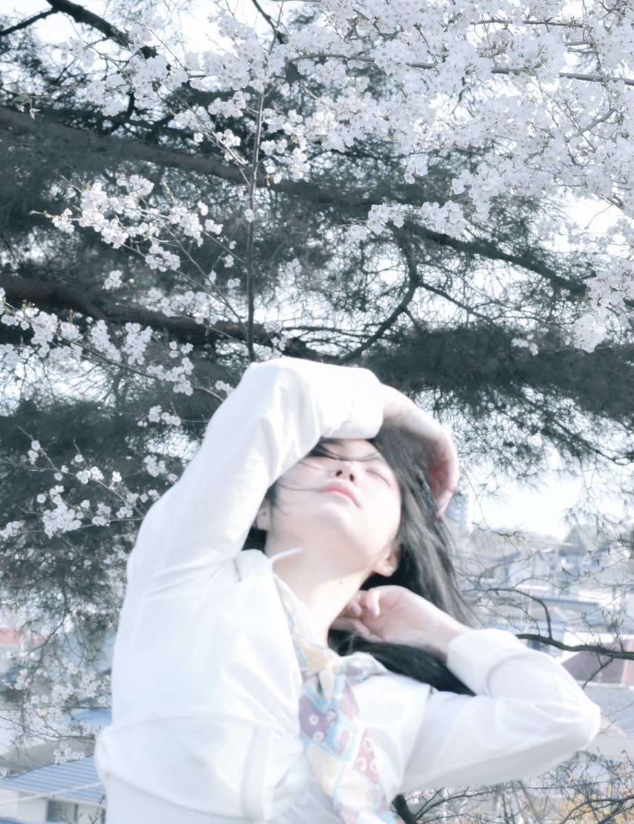 r_lycee__'s tweet photo. 舞い散る https://t.co/xfkIITiMjk