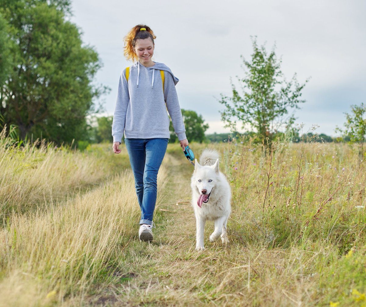 It’s perfect weather for a walk around our parkland with your four-legged companion. Make the most of the fresh air &amp; open space!

Please remember to keep dogs on a lead to help protect wildlife &amp; ensure a safe, relaxing visit for everyone.

#BurtonConstable #Hull #EastYorkshire