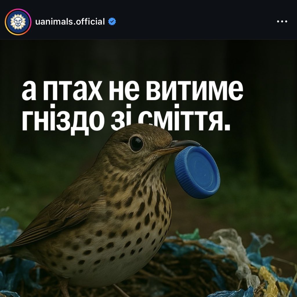 у(ліі) 🌸‘아리랑 tweet media