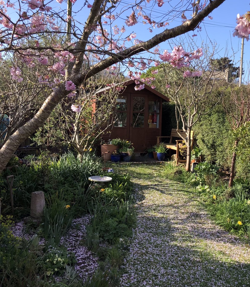 letterappsoc's tweet photo. The Letter Writing Shed in the spring is one of my favourite places to be. Thank you so much to everyone who makes the #DeskGallery up there such a joy too. ๐ฅณโ๏ธ๐ธ https://t.co/K6MttN6mWw