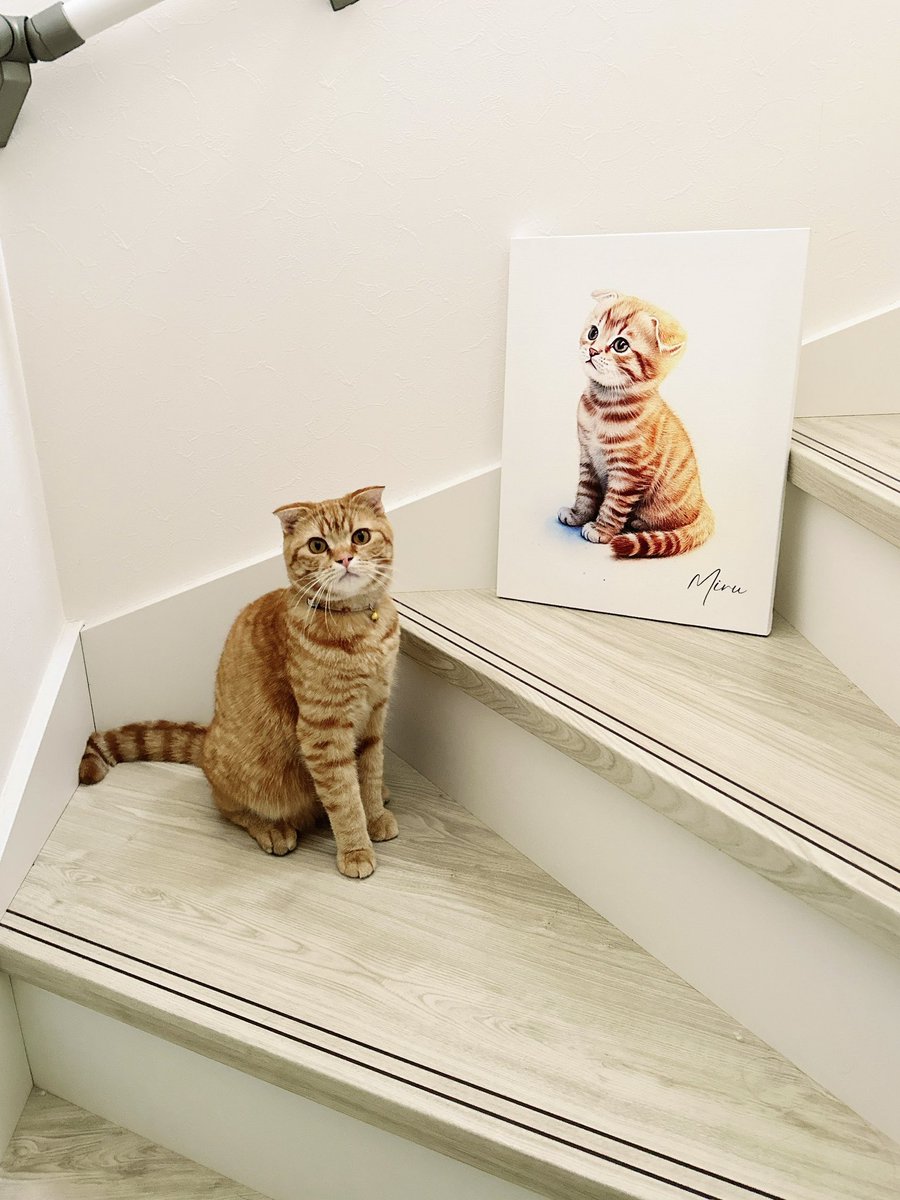 iam_melchan's tweet photo. この1年でとっても大きくなりました🥹
子猫の頃も忘れたくなくて、今回は
子猫の時の写真で描いてもらいました✦

ちょうど誕生日の前日に届いたので
バースデーケーキと一緒にも🍰

とっーーても可愛くてお気に入り🫶🏻🩷
ミルが我が家に来た頃を思い出します🐈💛
リビングに飾って毎日眺めてます◎ https://t.co/QKVhE1sRNp