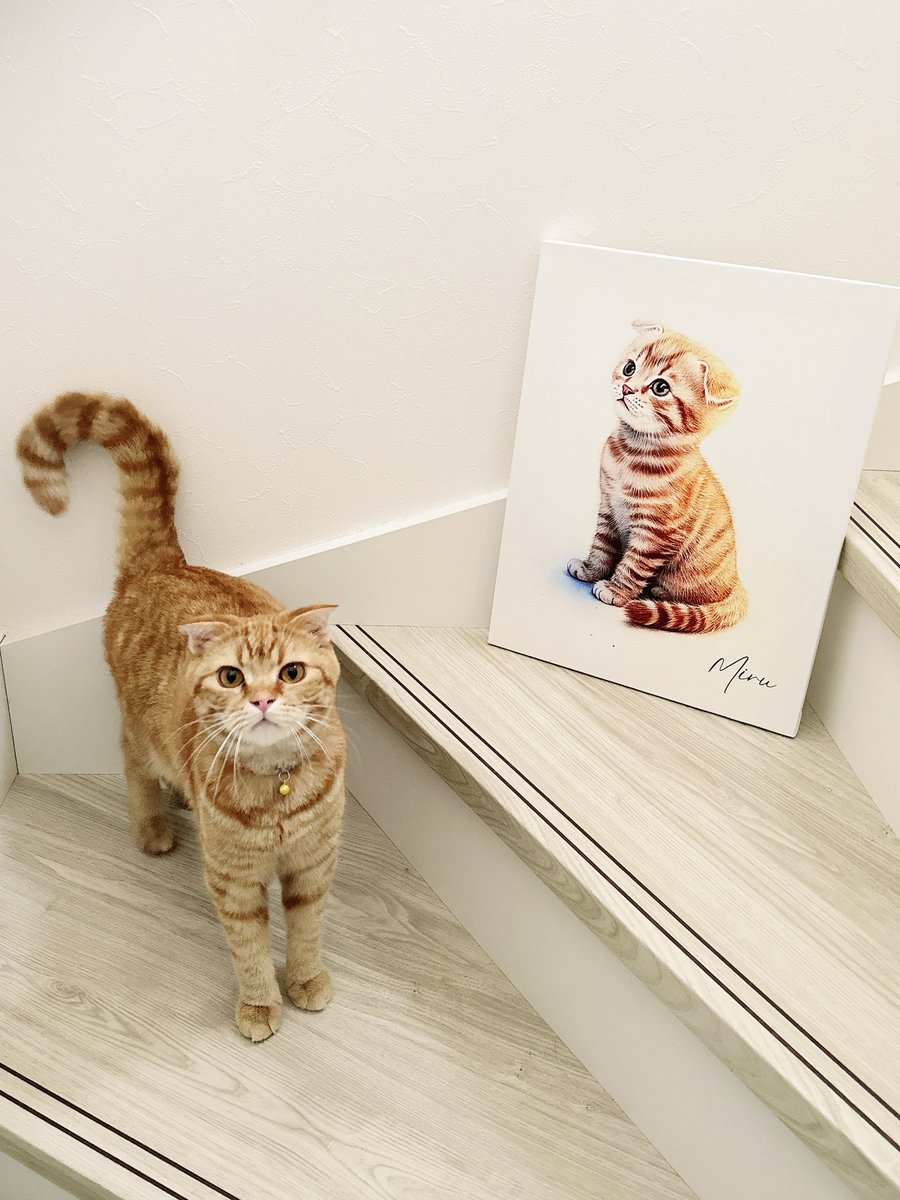 iam_melchan's tweet photo. この1年でとっても大きくなりました🥹
子猫の頃も忘れたくなくて、今回は
子猫の時の写真で描いてもらいました✦

ちょうど誕生日の前日に届いたので
バースデーケーキと一緒にも🍰

とっーーても可愛くてお気に入り🫶🏻🩷
ミルが我が家に来た頃を思い出します🐈💛
リビングに飾って毎日眺めてます◎ https://t.co/QKVhE1sRNp