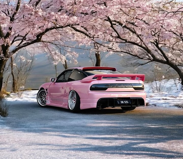 JDMvibes_'s tweet photo. 🌸 https://t.co/7eLjieHJTx