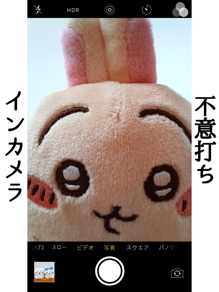 フゥンッ!？
#ちいかわ