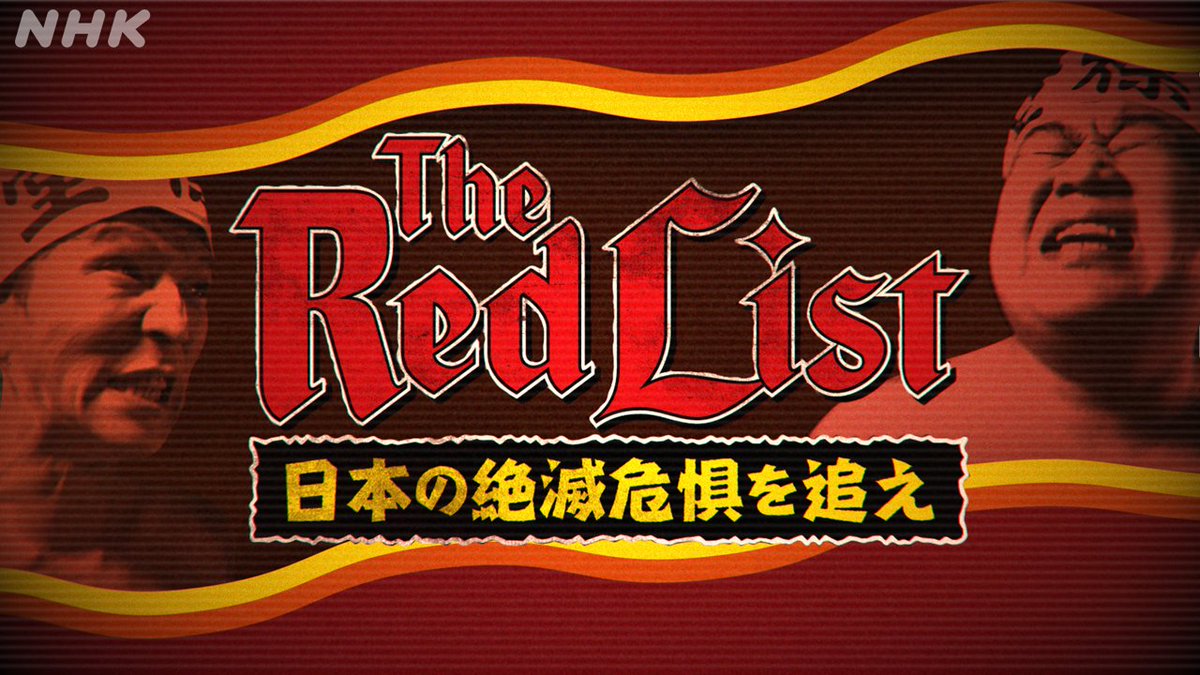 nhk_henseio's tweet photo. 📺今夜23:00~放送📡
👑#編成王川島👑
#2『🦣#TheRedList 日本の絶滅危惧を追え』
日本で絶滅が危惧される「裸の伝統行事」を
#モグライダー が体当たり取材💥
極寒の行事に感じたことは🤔
#川島明 #朝日奈央
#いとうせいこう #宇垣美里
NHKプラスで同時配信📱
https://t.co/ArguyA3aKd https://t.co/NEWeFbeMaR