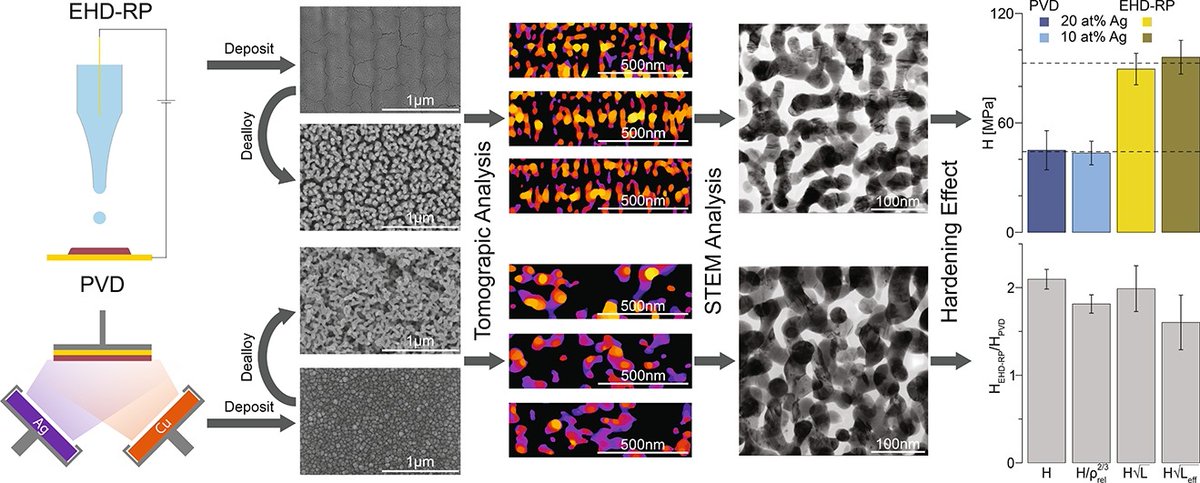ETH Laboratory for Nanometallurgy (@lnm_eth) on Twitter photo 🚨📰 New publication out!
We show that nanoporous Ag networks fabricated using EHD-RP exhibit higher hardness values than PVD-sputtered ones due to differences in relative density, ligament size, twin density and structural order.
👉 doi.org/10.1016/j.matd…
<a href="/ETH_Materials/">ETH Department of Materials</a> 🚨📰 New publication out!
We show that nanoporous Ag networks fabricated using EHD-RP exhibit higher hardness values than PVD-sputtered ones due to differences in relative density, ligament size, twin density and structural order.
👉 doi.org/10.1016/j.matd…
<a href="/ETH_Materials/">ETH Department of Materials</a>