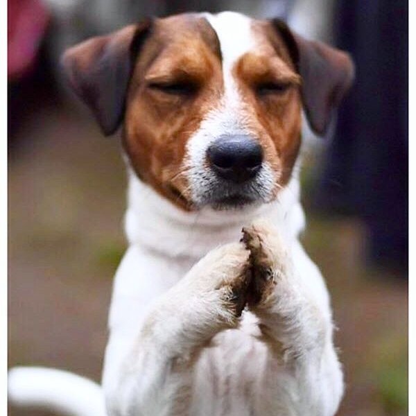 PIDIENDOLE A LA VIRGEN DE LA CUEVA QUE SE COJA VACASIONE