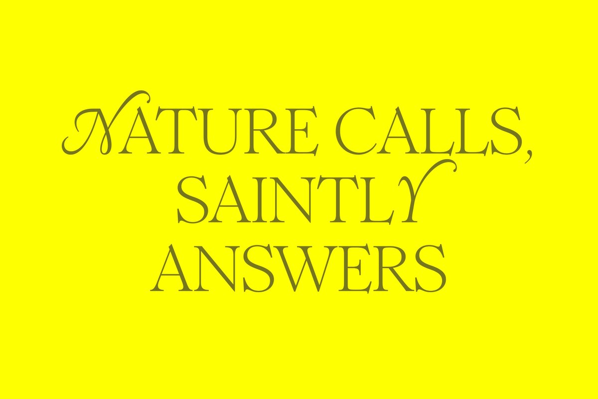 Saintly by Universal Favourite, 2025.
Now on Brand Archive: brandarchive.xyz/identity/saint…

#branding #design #logo #type