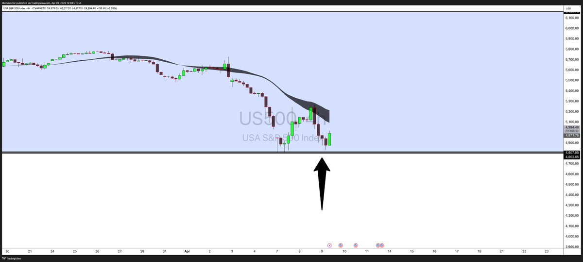 MWhalekiller tweet media