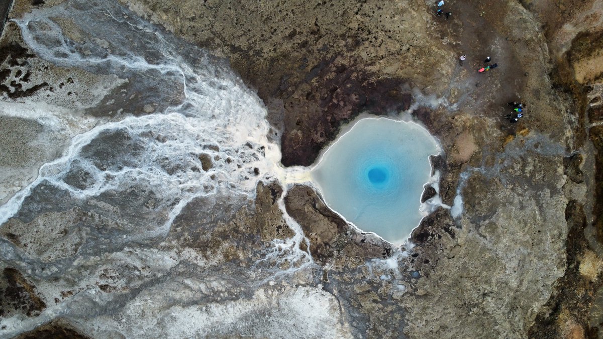 King Edward VI School tweet media