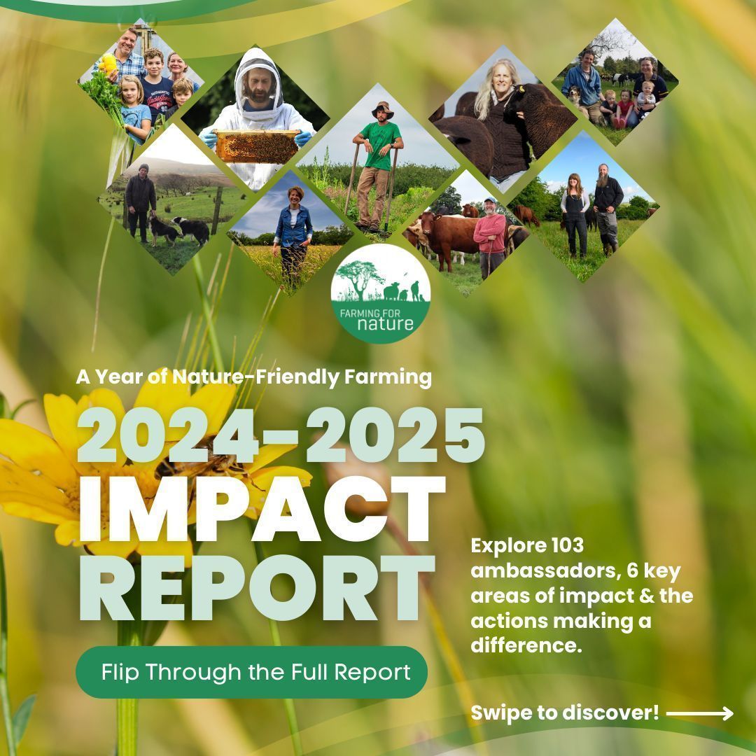 farmfornature's tweet image. 🌿 The Farming for Nature Impact Report 2025 is live!
Explore inspiring actions, real stories, and the growing movement of farmers restoring nature.

📖 Flip through the full report: buff.ly/8Newxbx 
💬 What inspired you most?
#FarmingForNature #ImpactReport2025