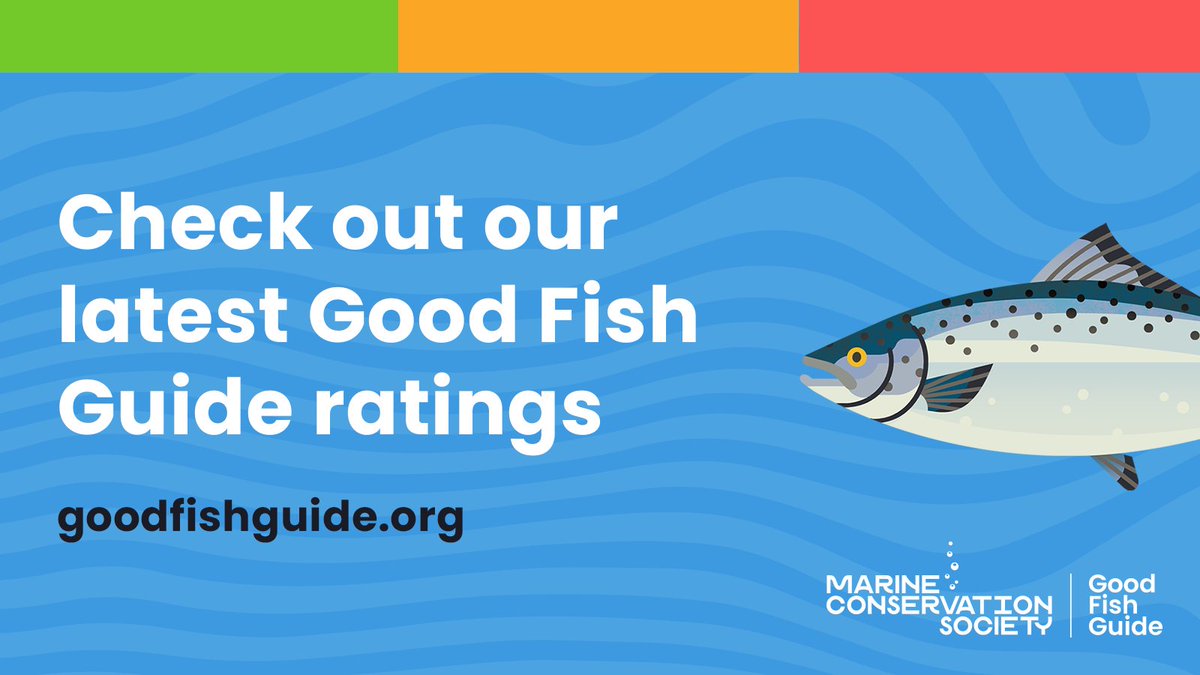 mcsuk's tweet photo. Do you eat fish or seafood? Want to make sure that your choosing #sustainable options? We can help ๐
Weโve just updated our #GoodFishGuide with the latest research that shows what fish to avoid if you want to protect our ocean
Take a look https://t.co/juM4StW5F6 https://t.co/DM8Rxwo5oc