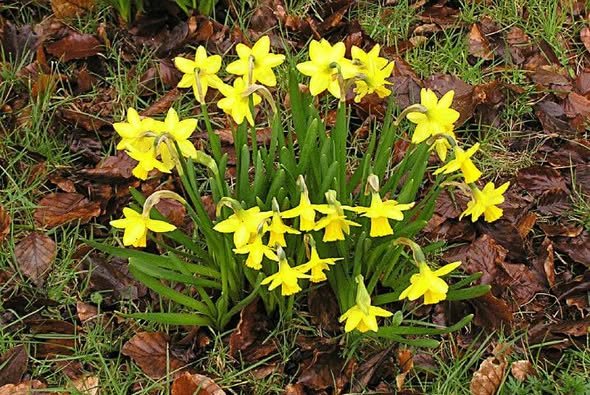 Please check out a wonderful re-cycled post from 2021.  Many interesting FREE educational worksheets from ---> emkaycollection.co.uk/index.php?rout… - #emkaycollection #emkayFREEworksheets #EmkayGlobaL #emkayinspirational - 👍 😃 💚  -