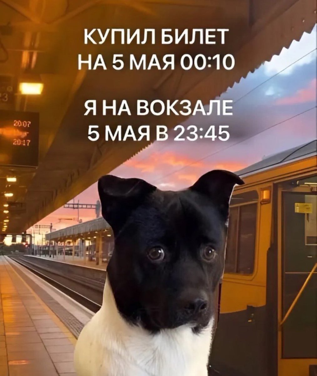 master____q's tweet image. Произошла ситуация (впервые в жизни).