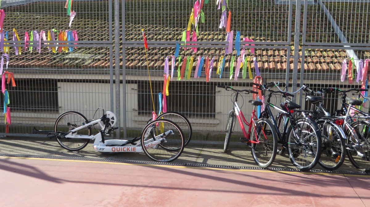 Fundación Movidep tweet media