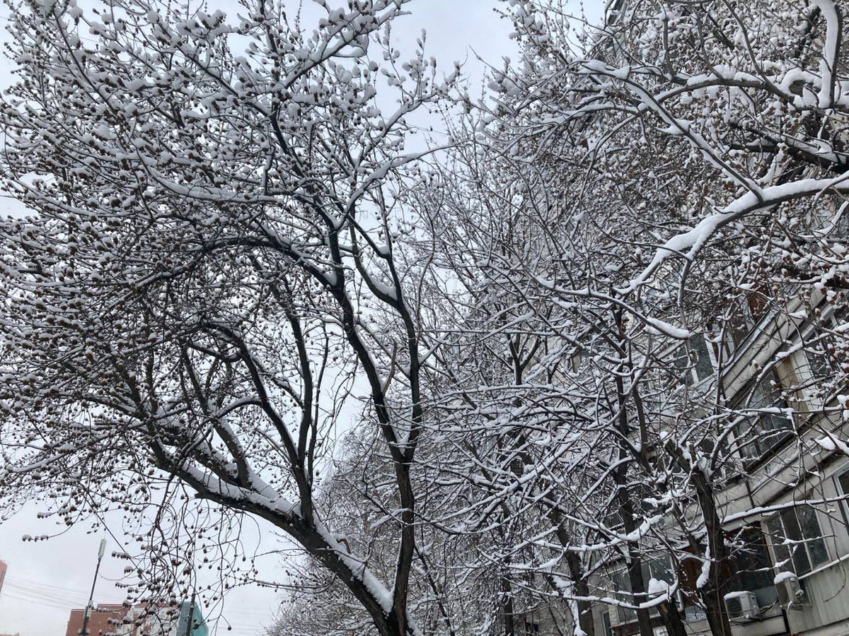 OrcInquisitor's tweet photo. прошу прощения, а когда в этом году в юном месяце апреле в старом парке тает снег? https://t.co/bVgSFZTCLQ