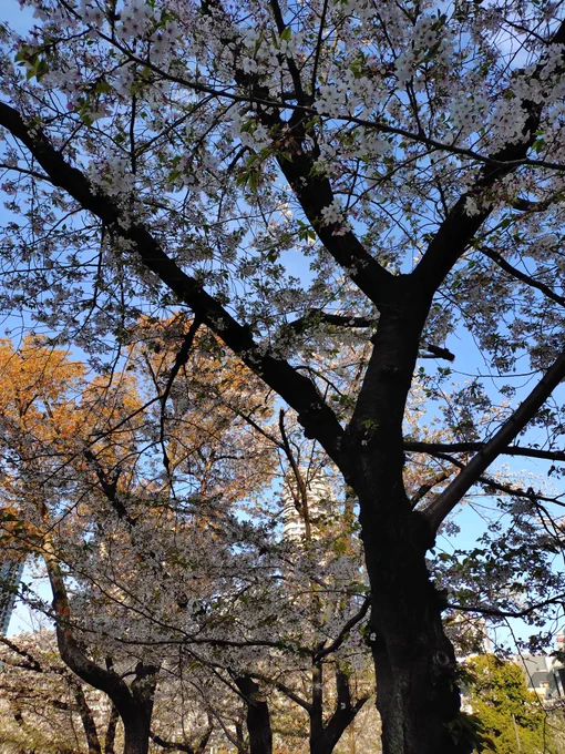 街なかの公園。いい天気。 