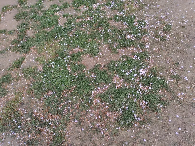 街なかの公園。いい天気。 
