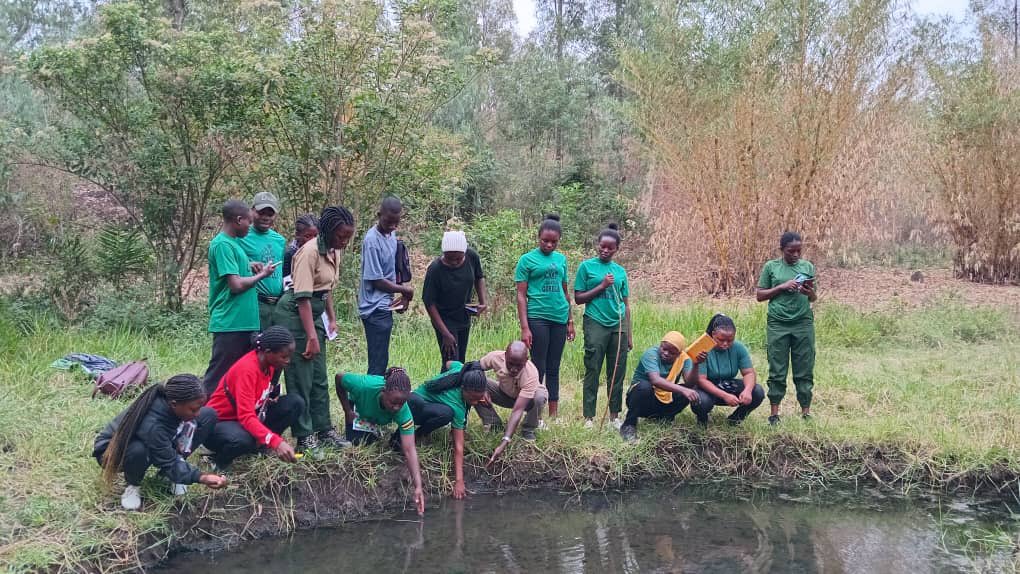 LibertyCollege5's tweet photo. Today we had a great experience when tourism students went to the field to learning competence based  skills! https://t.co/FF3fOy5sqs