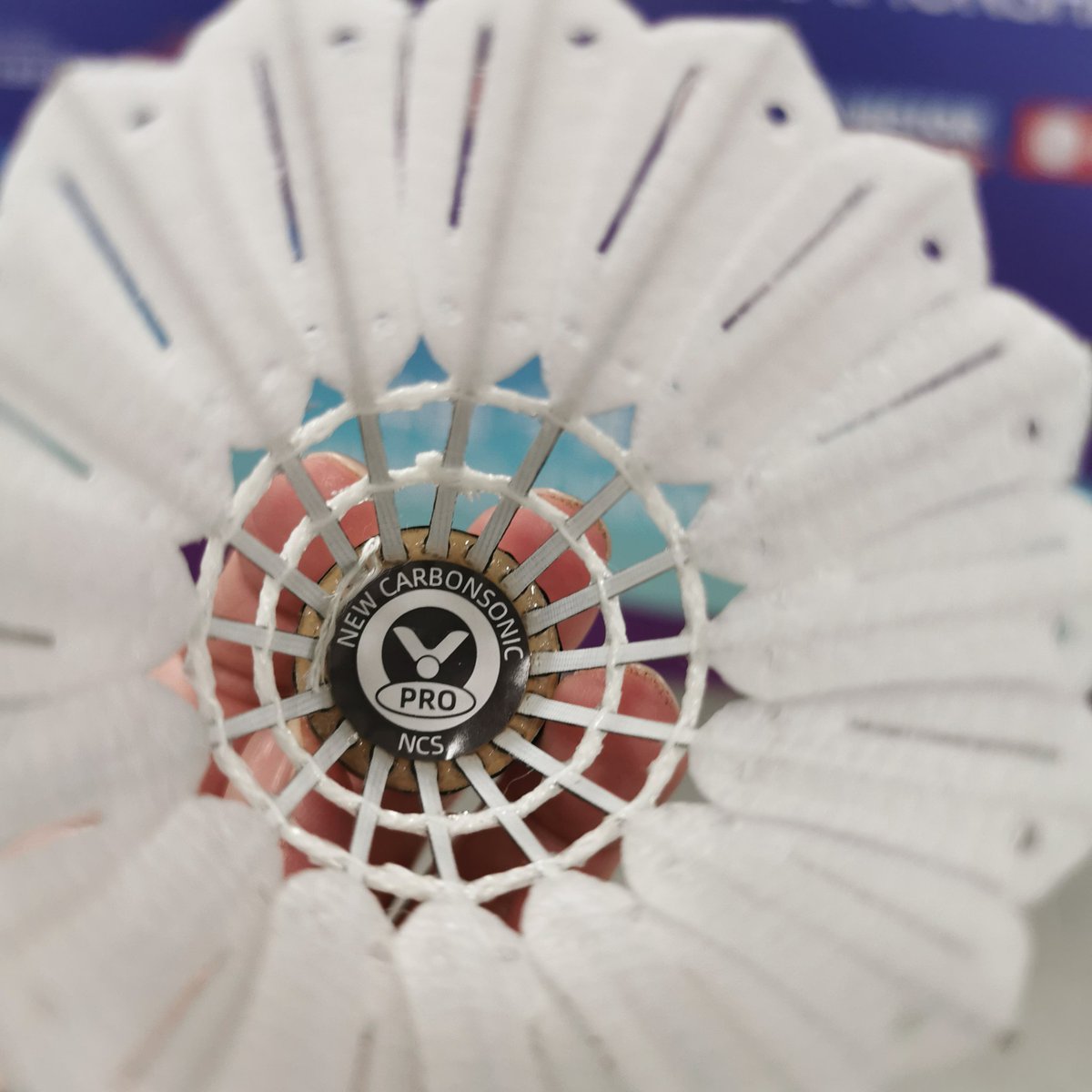 wschooi's tweet image. Victor Sports new synthetic shuttlecock - NCS PRO (New Carbon Sonic PRO)