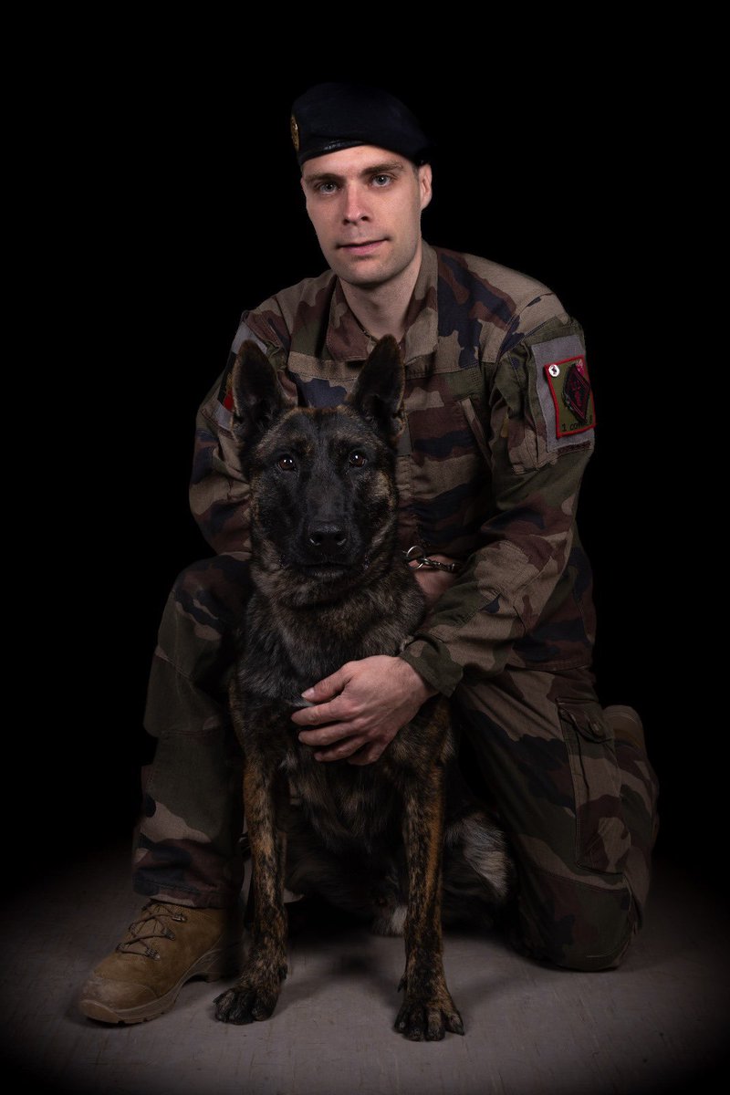 132e régiment d'infanterie cynotechnique tweet media