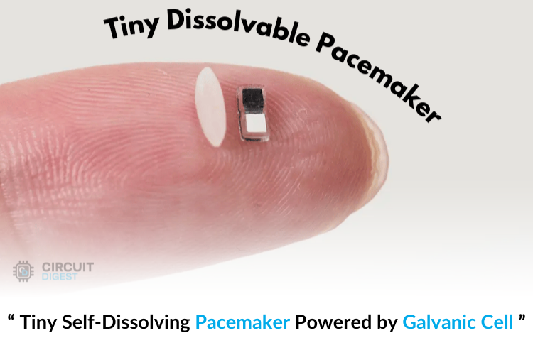 CircuitDigest's tweet image. Find out how a self-dissolving pacemaker powered by a galvanic cell is revolutionizing heart treatments.
Read More - circuitdigest.com/news/tiny-self…

#Pacemaker #Galvanic #Heart #Treament #News #Communitynews