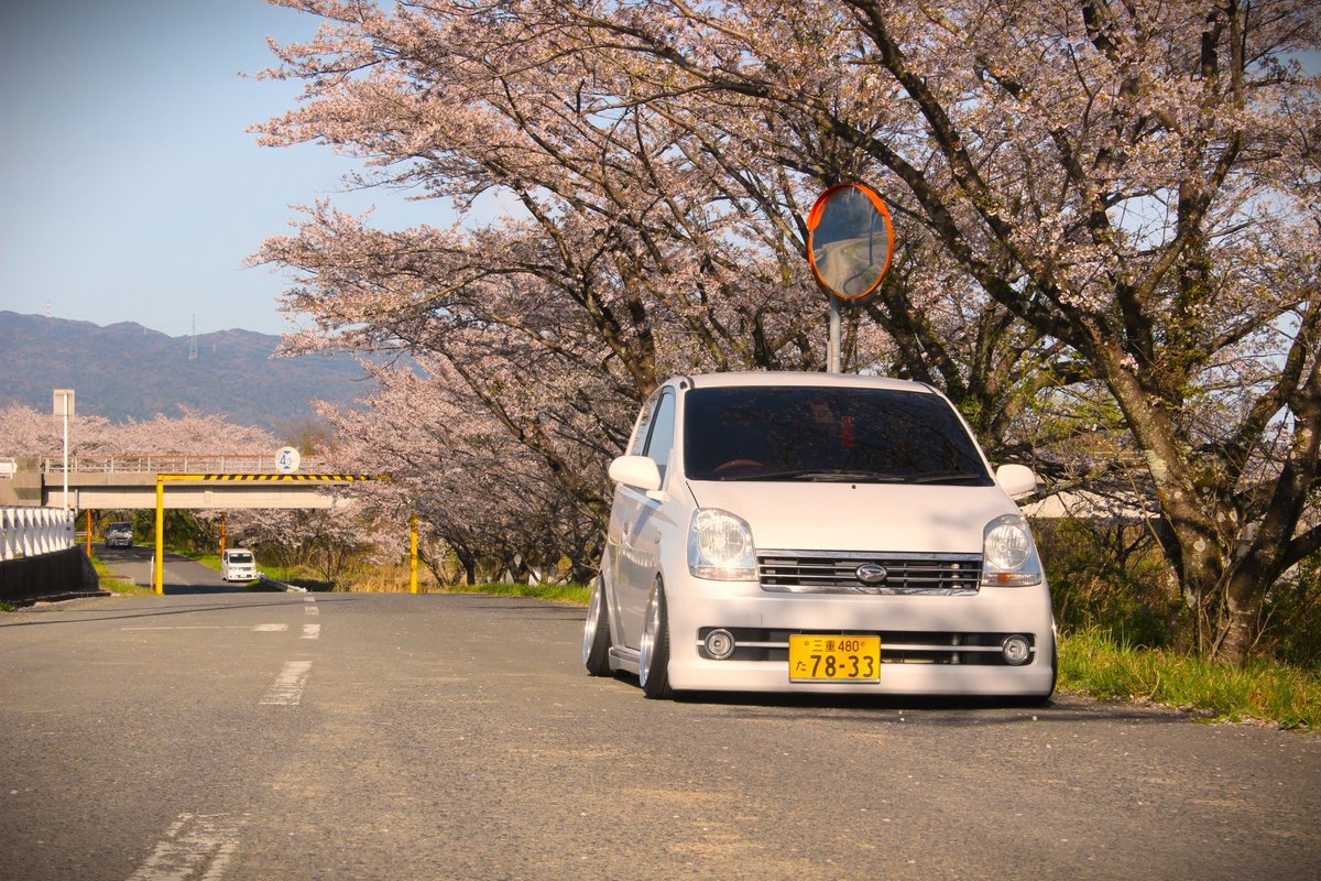 種さん tweet media