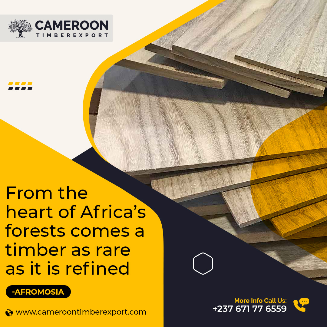 ExportTimber's tweet photo. From the heart of Africa’s forests comes a timber as rare as it is refined — Afromosia.

Order Now: https://t.co/hHimcOqPIh

#timber #lumber #wood #woodsupplier #timbersupplier #exporter #afromosia #africanteak #buynow https://t.co/7uwu2ql1q9