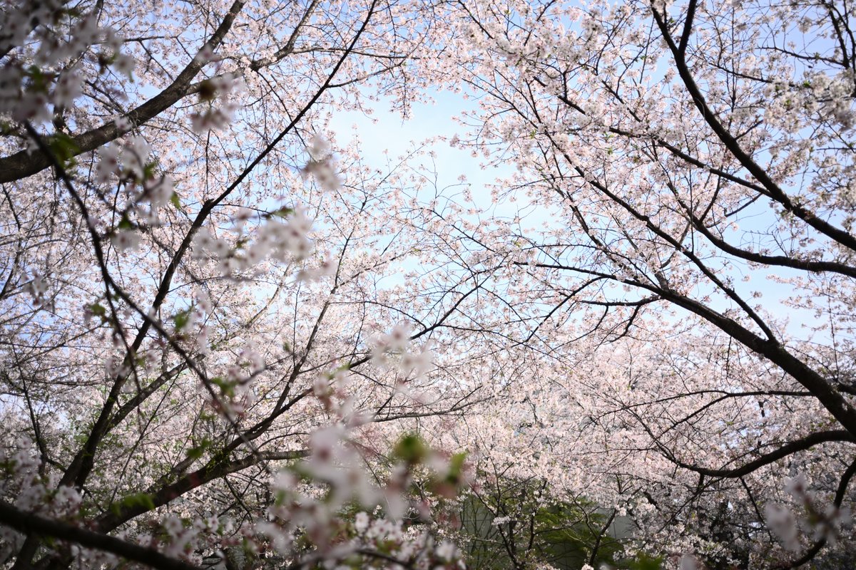 PhotoOrdinary's tweet photo. #photography https://t.co/vP9Rzec5LD