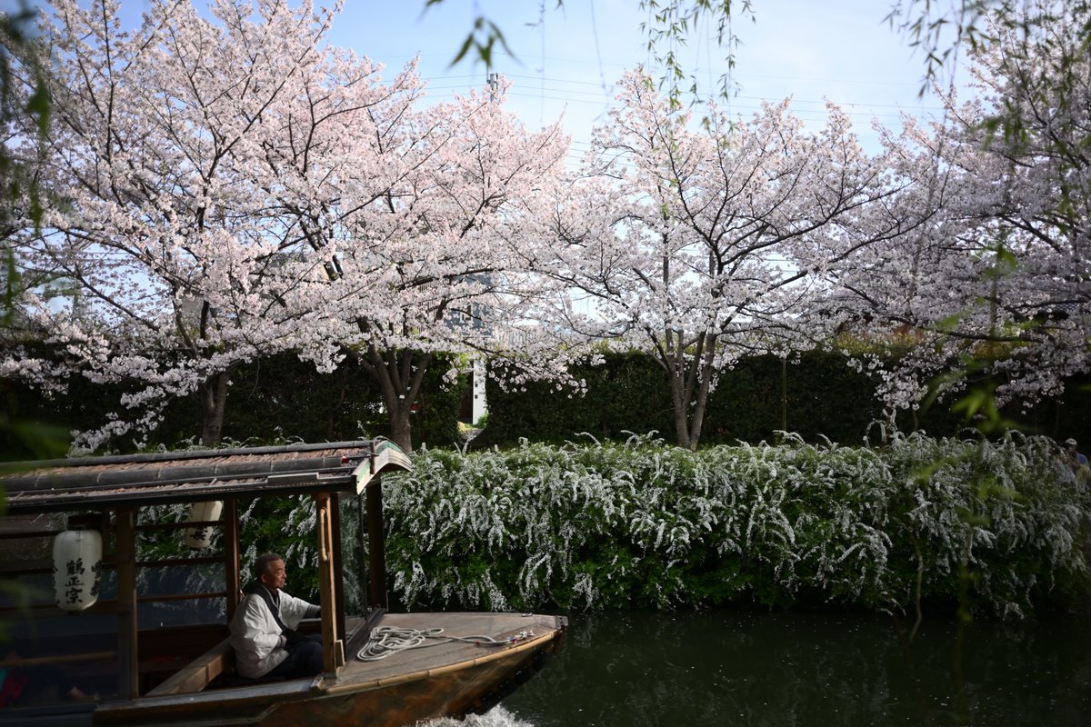 PhotoOrdinary's tweet photo. #photography https://t.co/vP9Rzec5LD