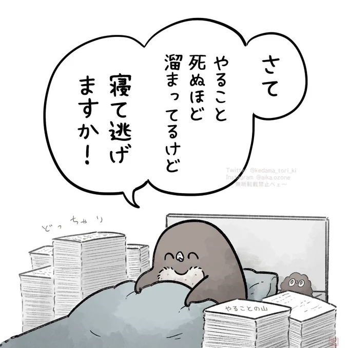 逃げるが勝ち!
#虚無かわいいアデリーペンギン 