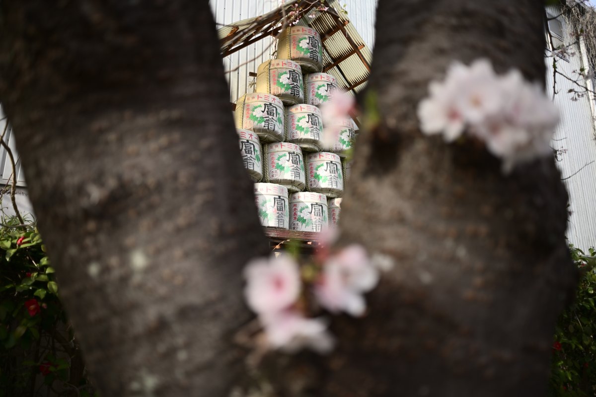 PhotoOrdinary's tweet photo. #photography https://t.co/vP9Rzec5LD