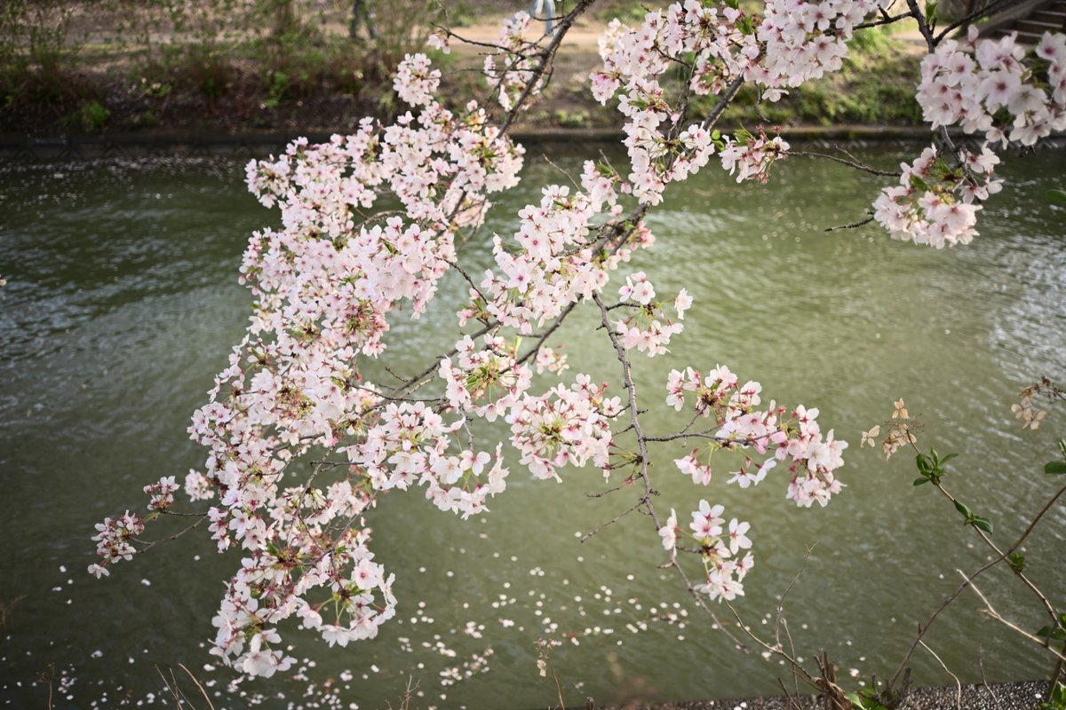 PhotoOrdinary's tweet photo. #photography https://t.co/vP9Rzec5LD