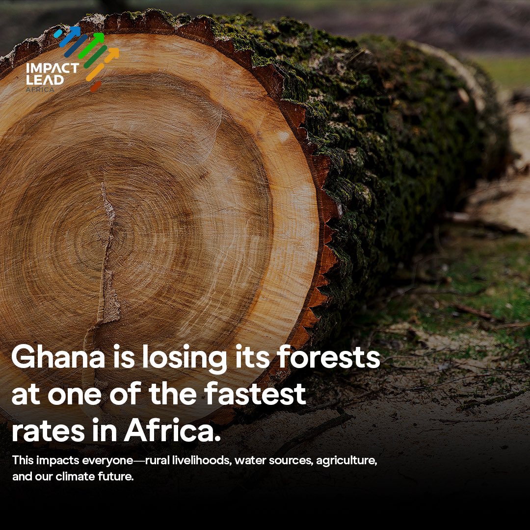 Ghana is losing its forests faster than almost any country in Africa. This affects us all—our farms, water, climate, and future.  

It’s time to act. #StopDeforestation #ClimateAction #GhanaForests